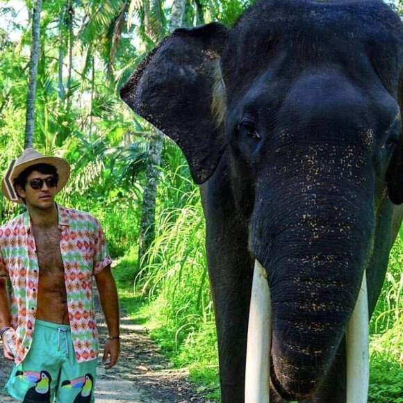 NWT    KENNY FLOWERS The Toucan Tango- SWIM TRUNKS - Picture 4 of 7